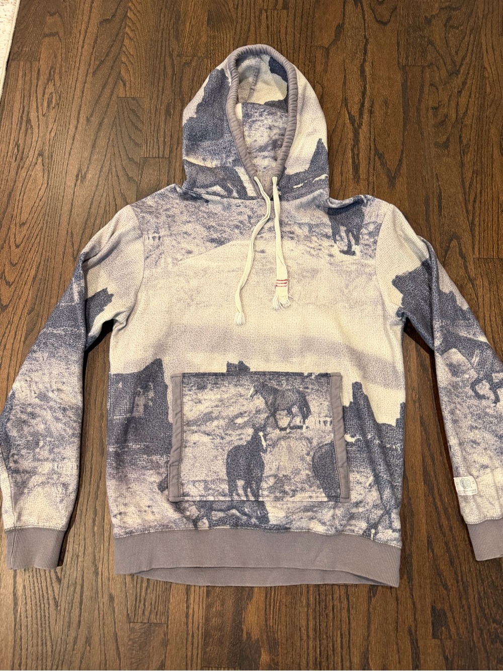 BDG Men's Hooded Pullover Sweatshirt in Light Gray Scenic Print